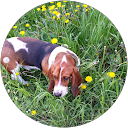 gerard fanny profile picture